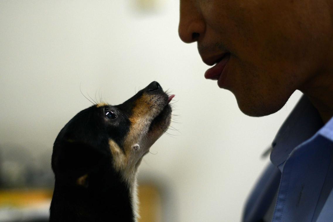 Honden weten wanneer je liegt