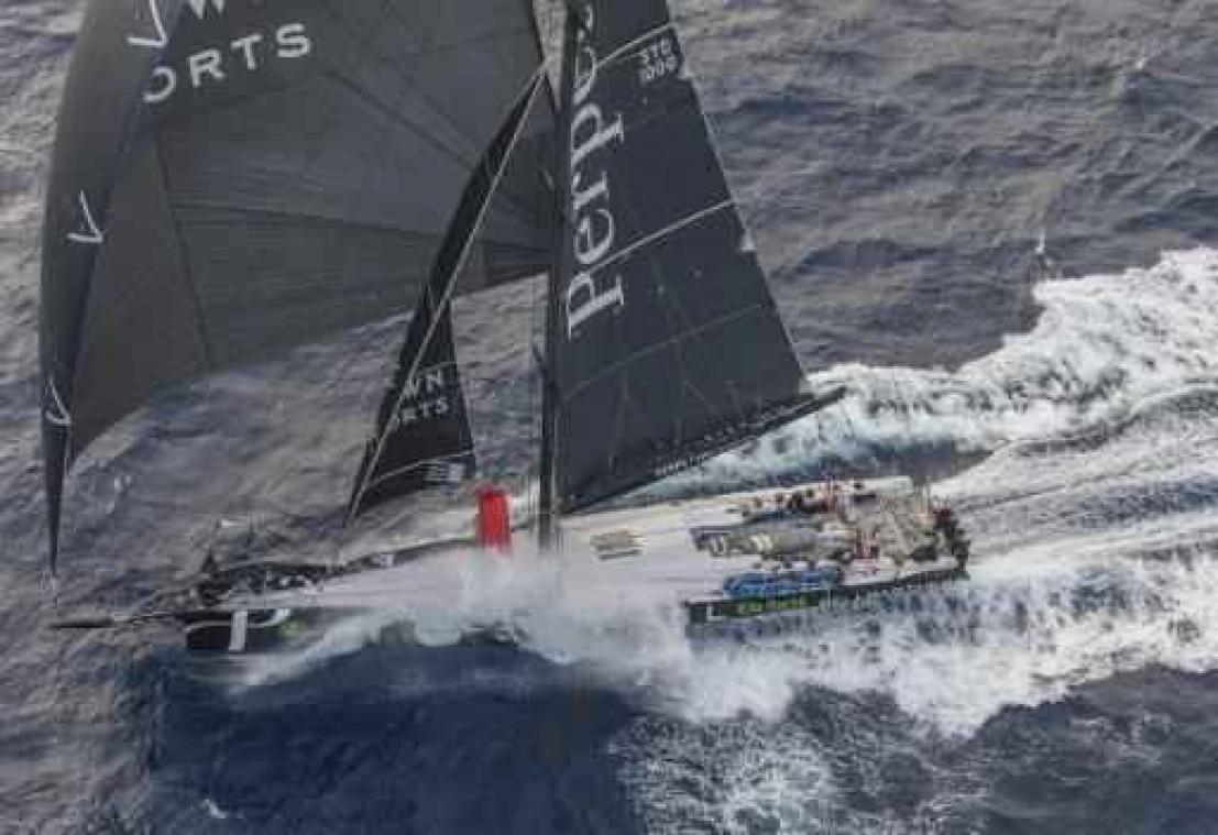 Perpetual Loyal wint zeilrace Sydney-Hobart in recordtijd