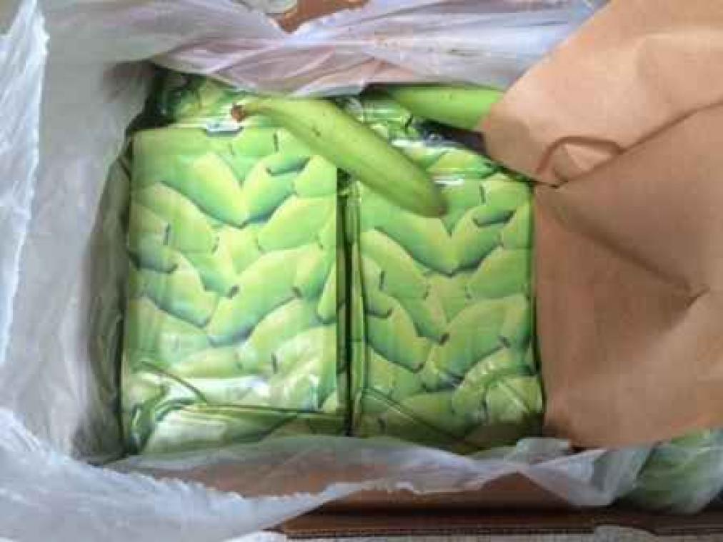 Recordvangst van 29 ton cocaïne in Antwerpse haven