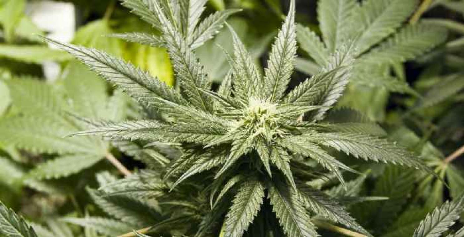 Finse drugsagent veroordeeld wegens drugssmokkel