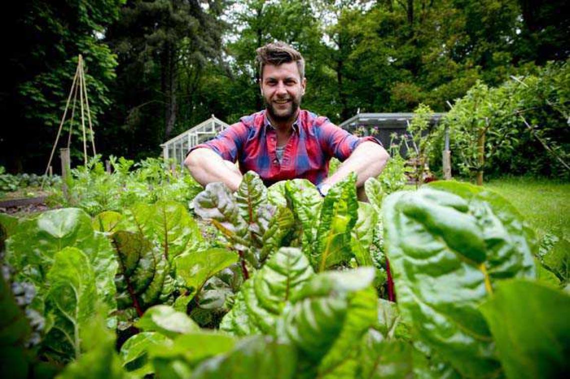 De ene plant is de andere niet
