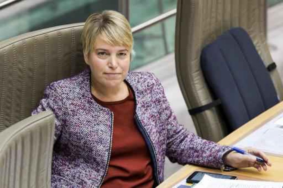 Schauvliege: "Europese consensus over compensatie grootverbruikers energie"