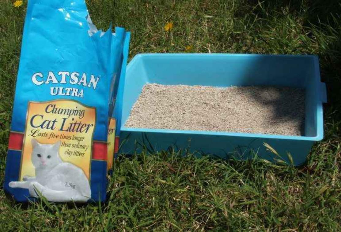 Man moet drie dagen brommen vanwege kattenbakvulling
