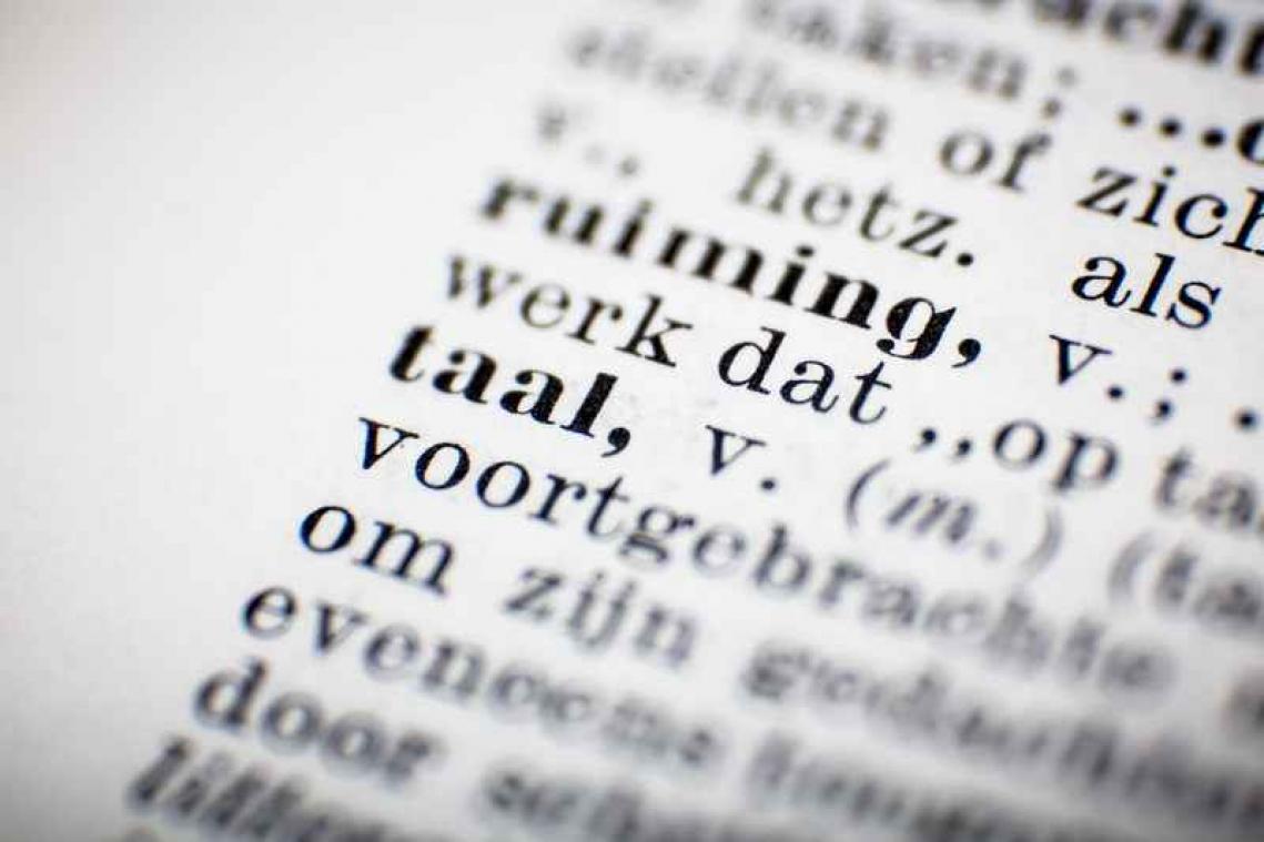 Deze taalkwesties hielden Vlaming het meest bezig