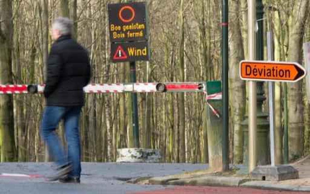 Brusselse parken en bossen donderdagmiddag dicht