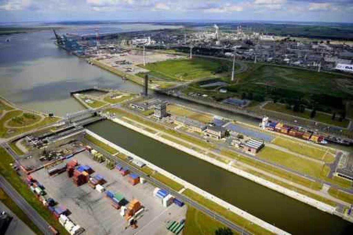 Antwerpse havengemeenschap vreest voor expediteurjobs door digitalisering