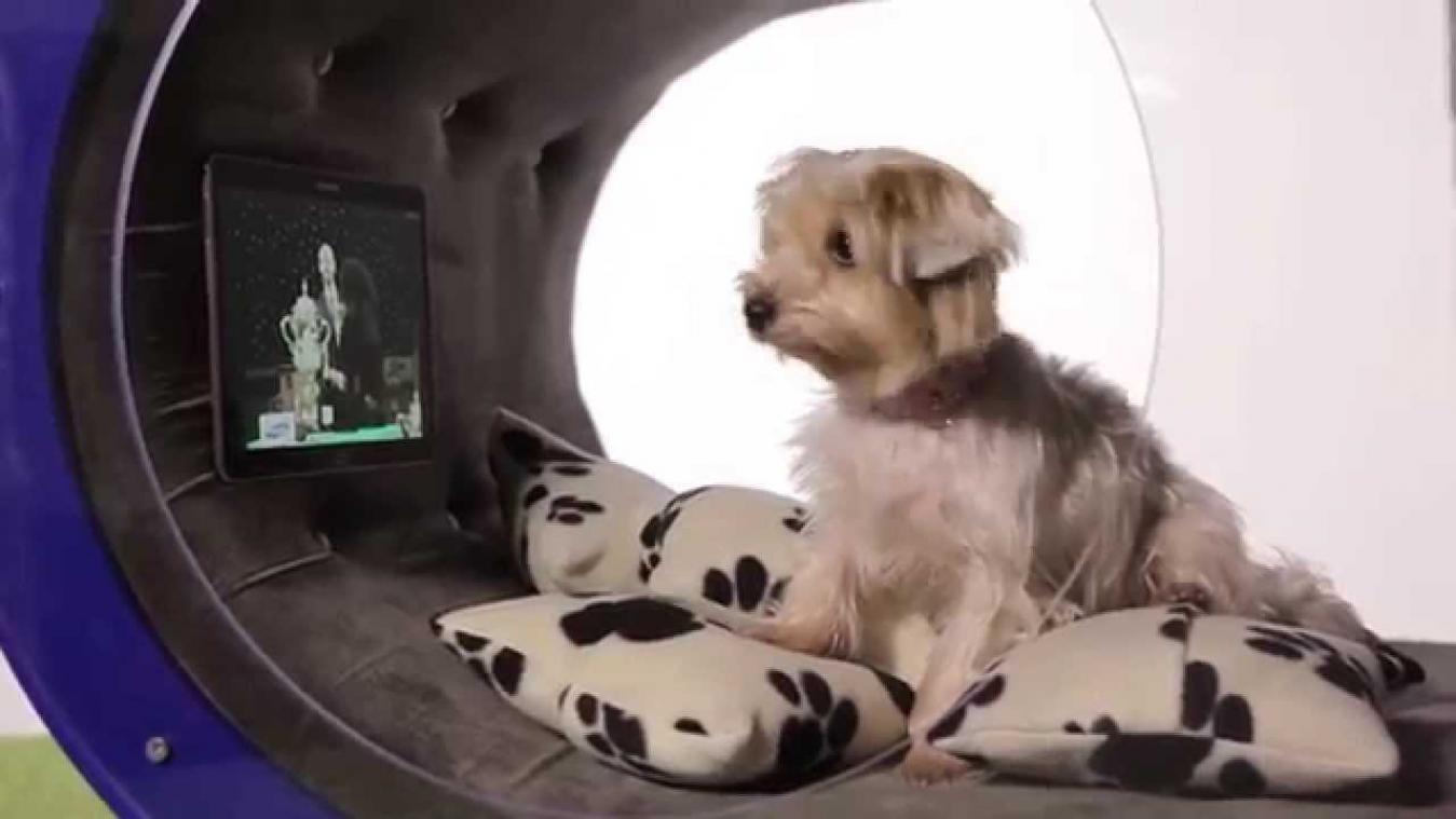 Samsung lanceert futuristische hondenkennel 