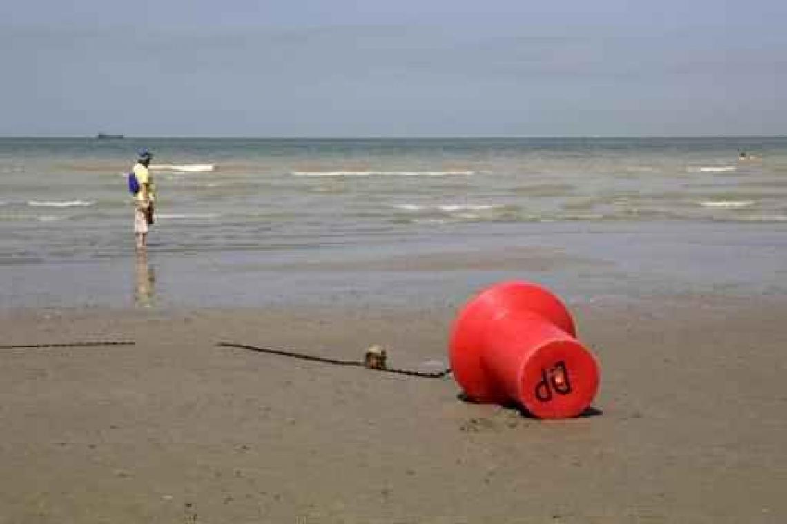 "Stikstofvervuiling in Noordzee te hoog"