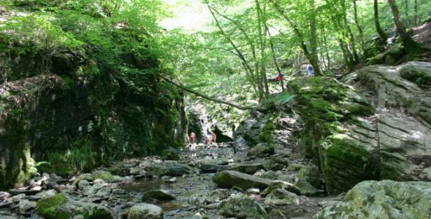 De mooiste wandelingen in de Ardennen