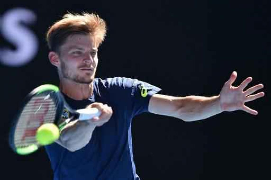 Sterke Dimitrov houdt Goffin uit halve finales