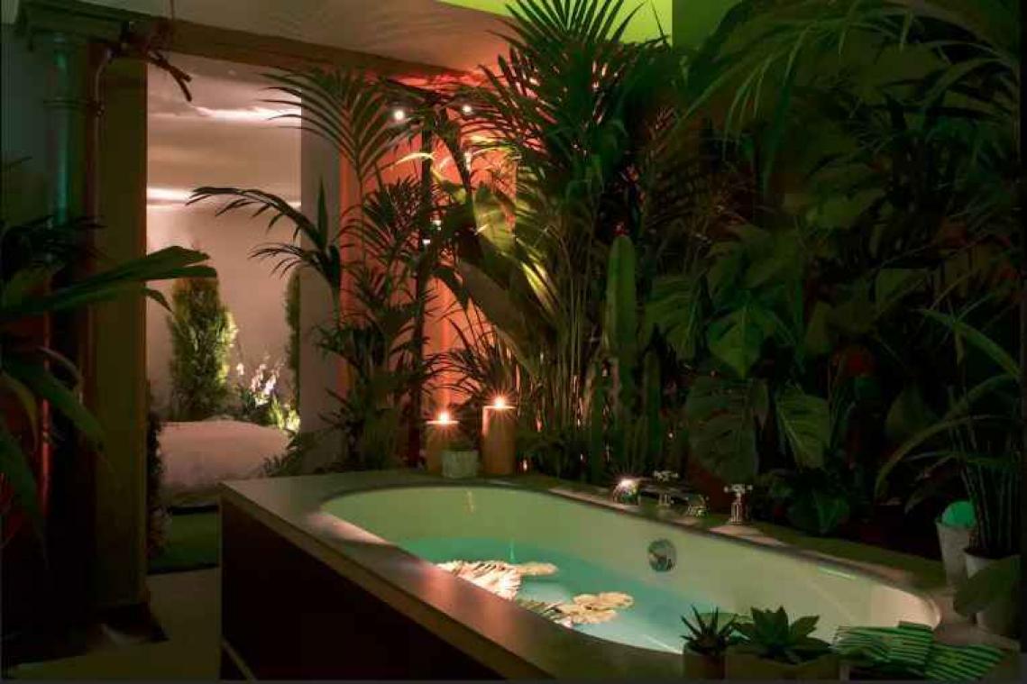 IN BEELD. Plantenliefhebbers kunnen overnachten in indoor jungle