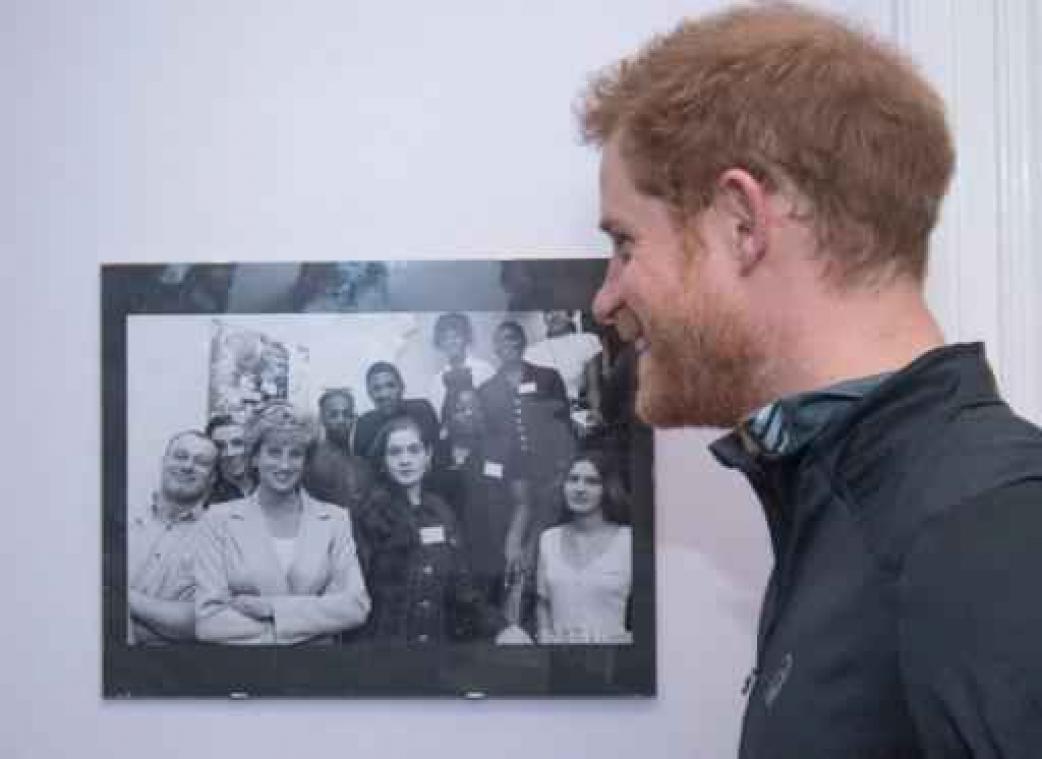 Prins William en prins Harry willen standbeeld ter ere van hun moeder Diana