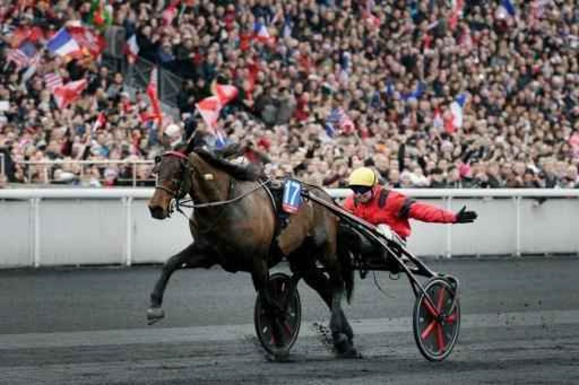 Bold Eagle volgt zichzelf op in Prix d'Amerique