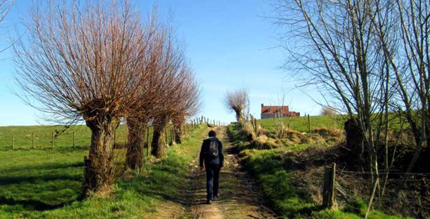Helse heuvels, hemels uitzicht: een weekend in de Vlaamse Ardennen
