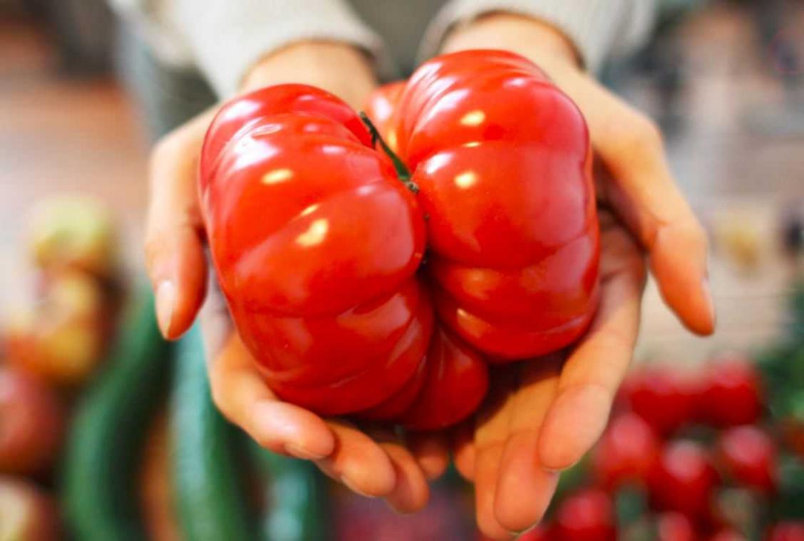 Volleerde vegetariërs aan het woord