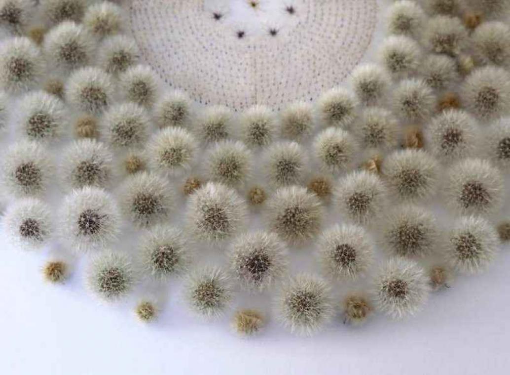 IN BEELD. Delicate kunstwerkjes met paardebloemen