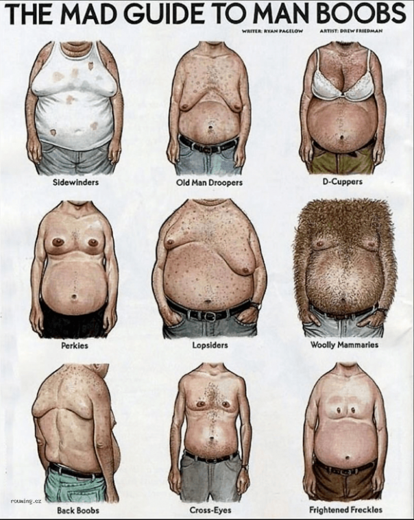 Twitter lacht met #tettnvoortheo