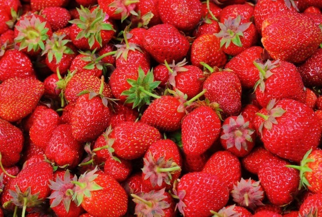 Is dit de duurste aardbei ooit?