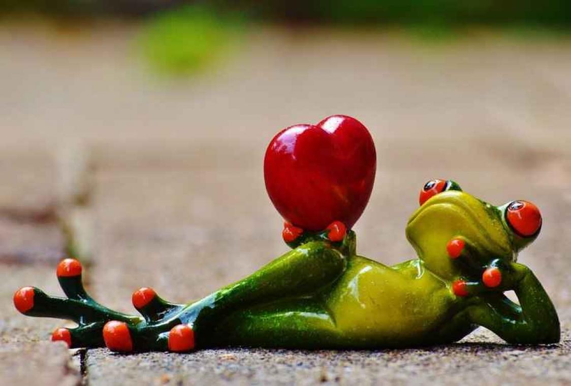 Op zoek naar een verrassing voor Valentijn? Met deze klassiekers scoor je ongetwijfeld