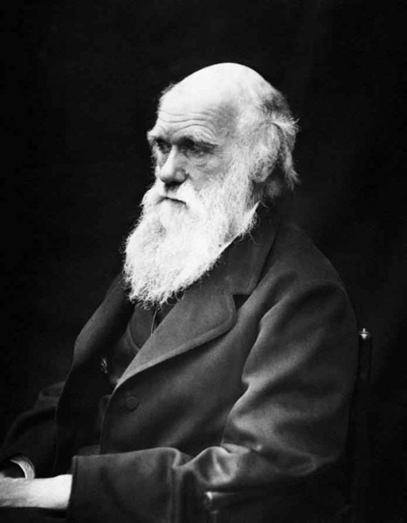 Vier vandaag Darwindag met speciaal lettertype
