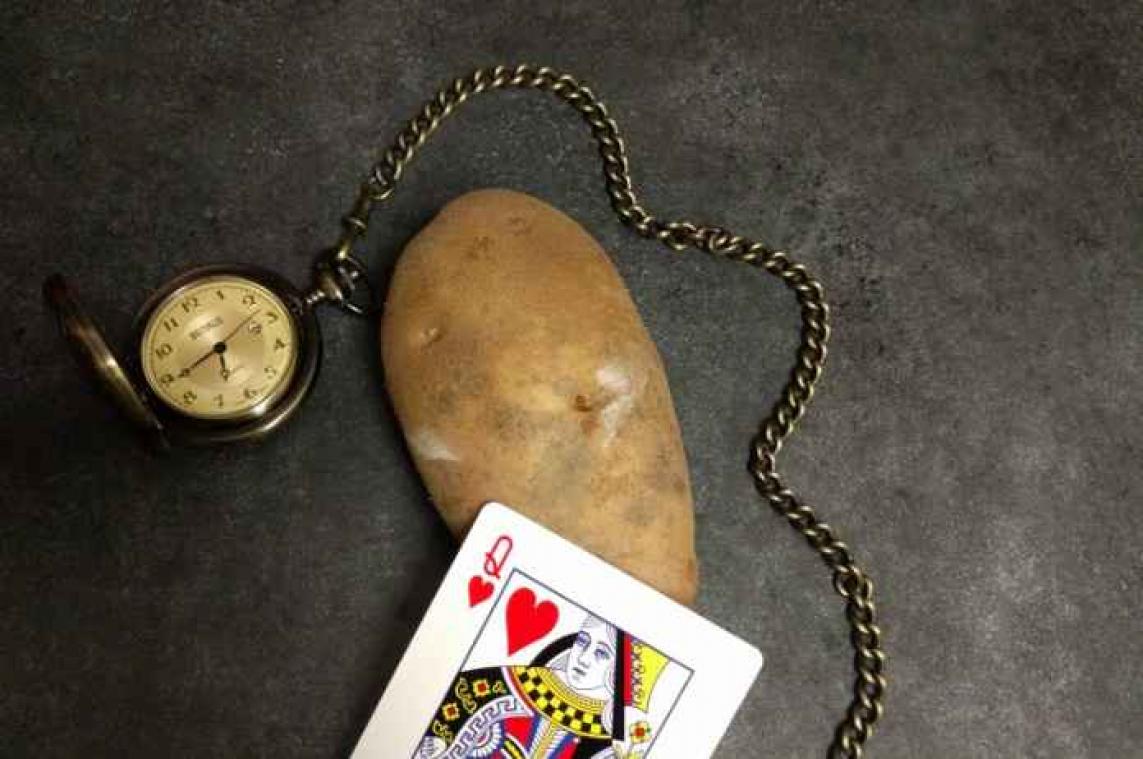 IN BEELD. Wat als prinsessen aardappels waren?