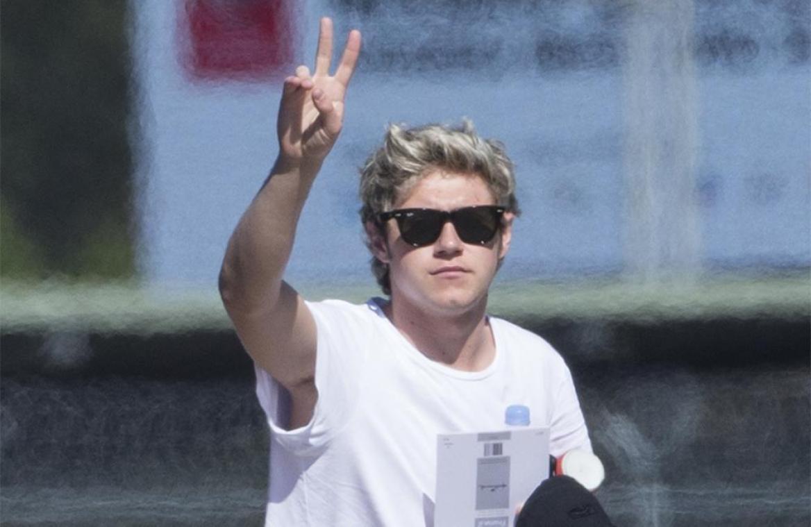 Niall Horan enjoyed secret dates with Amy Willerton