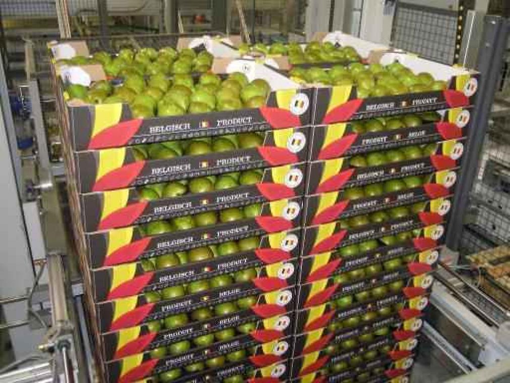Volgende oogst Belgische peren welkom in Brazilië