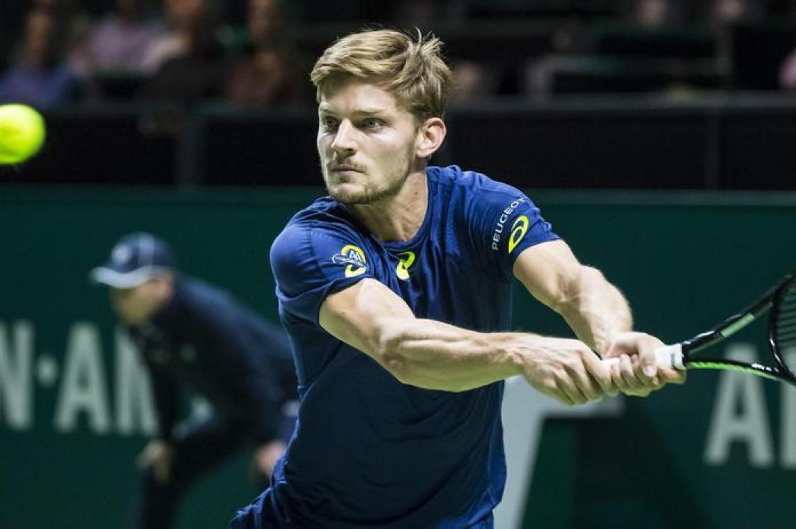 Goffin grijpt naast zevende plaats op ATP-ranking
