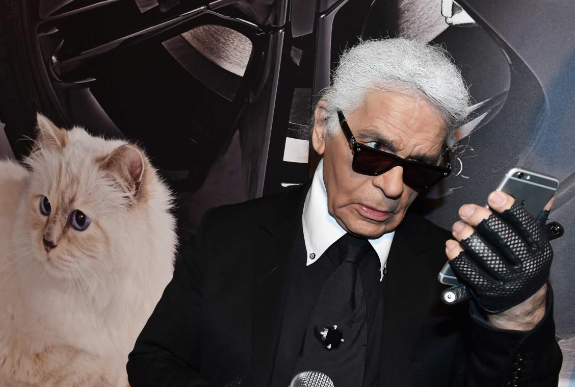 Kat van Karl Lagerfeld verdient 3 miljoen per jaar