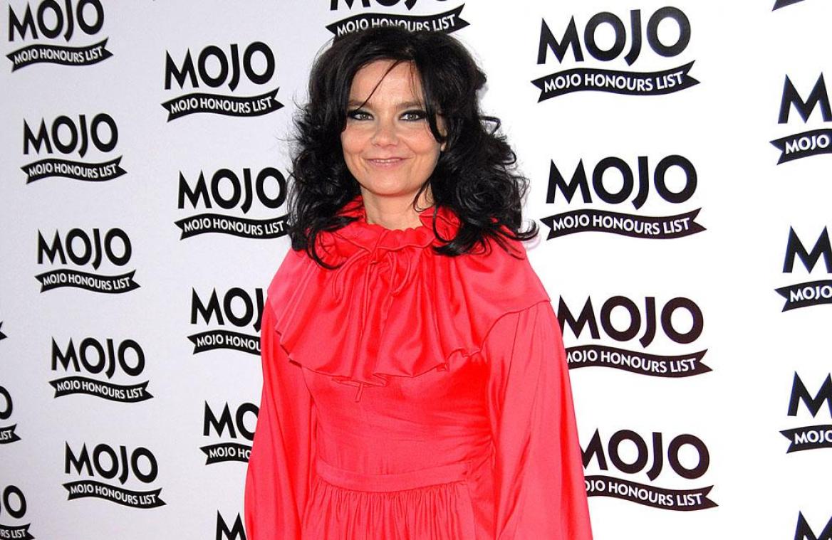 Bjork in custody row