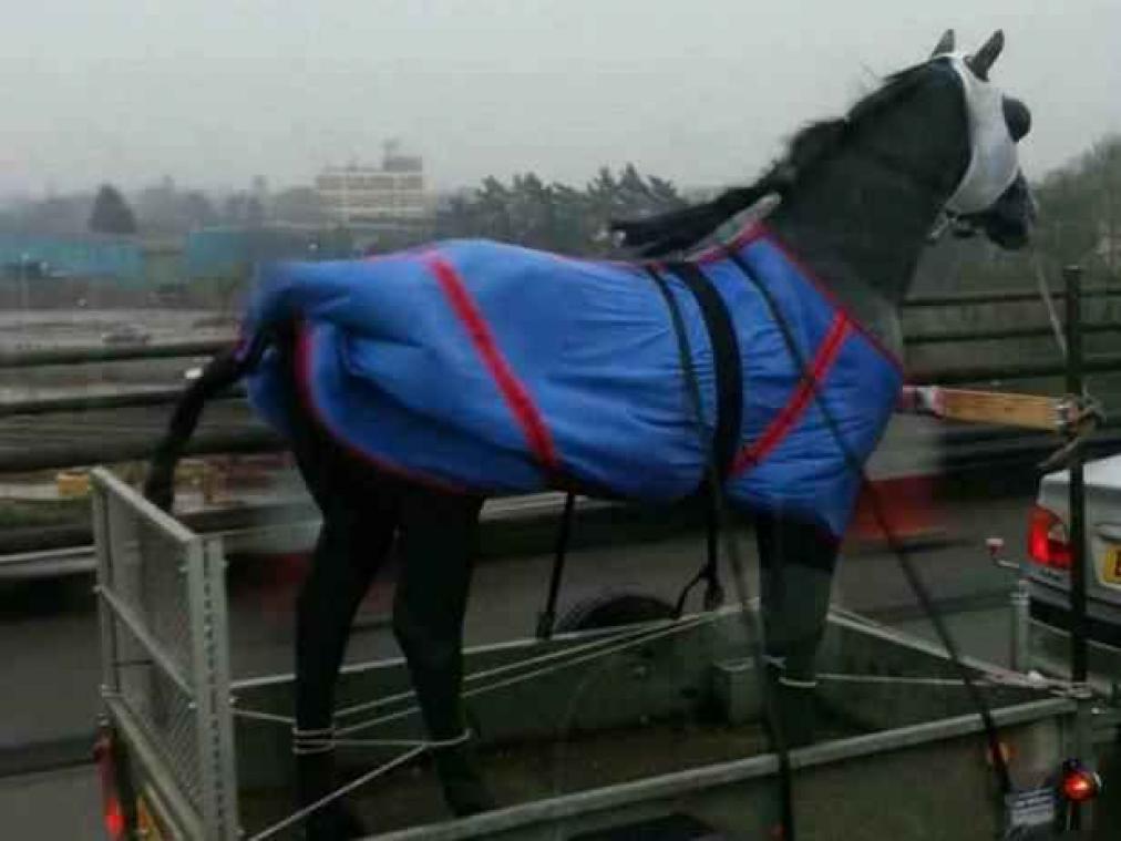 Hulpdiensten opgeroepen om plastieken paard te redden