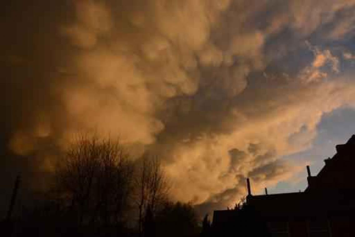 Krokusvakantie met regen en wind