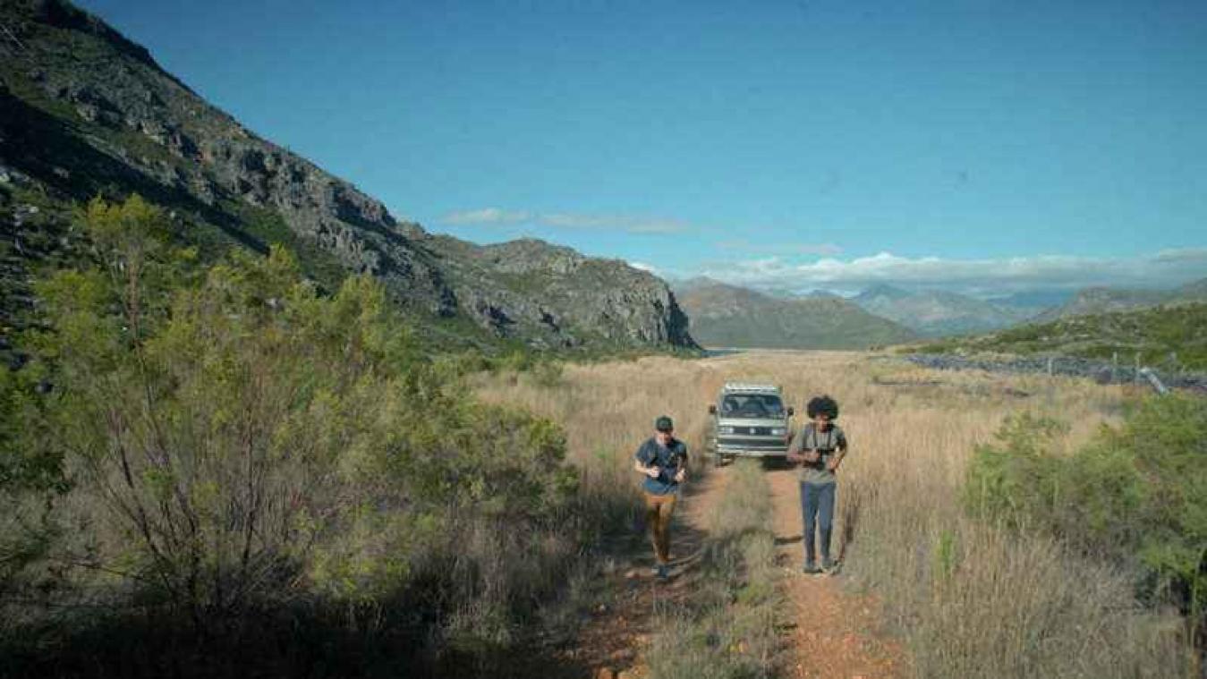 De Mol lokt Belgen naar Zuid-Afrika