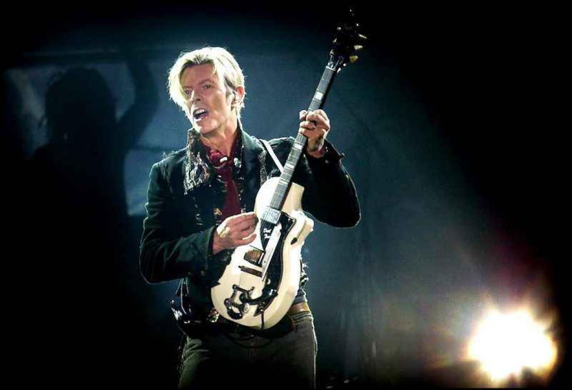 Zoektocht naar bastaardkinderen van David Bowie
