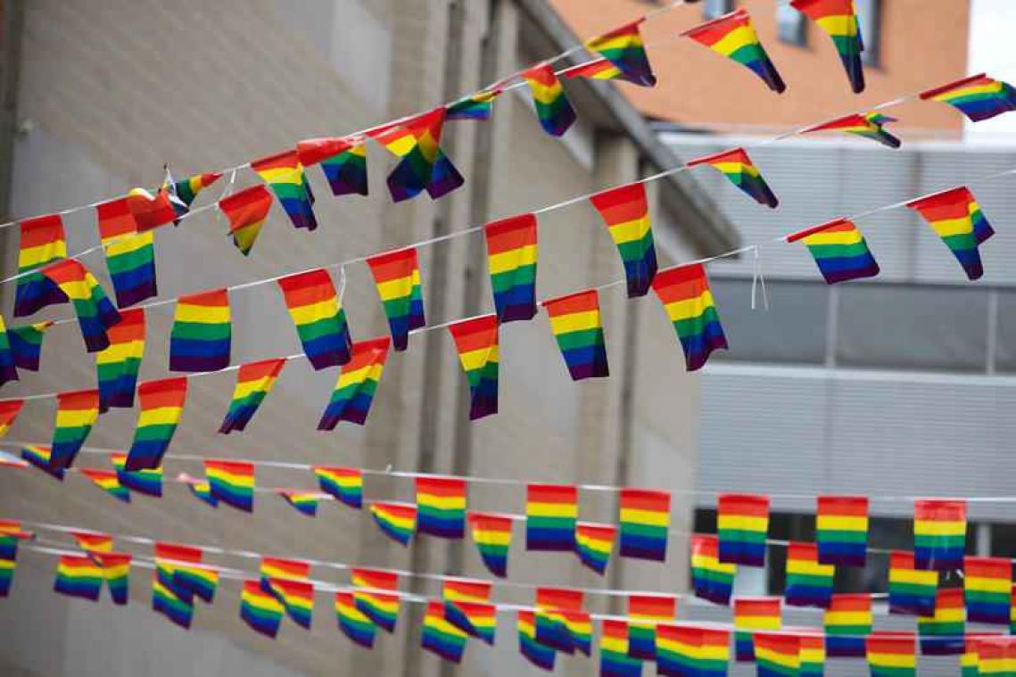 Homohuwelijk nu ook mogelijk in Finland