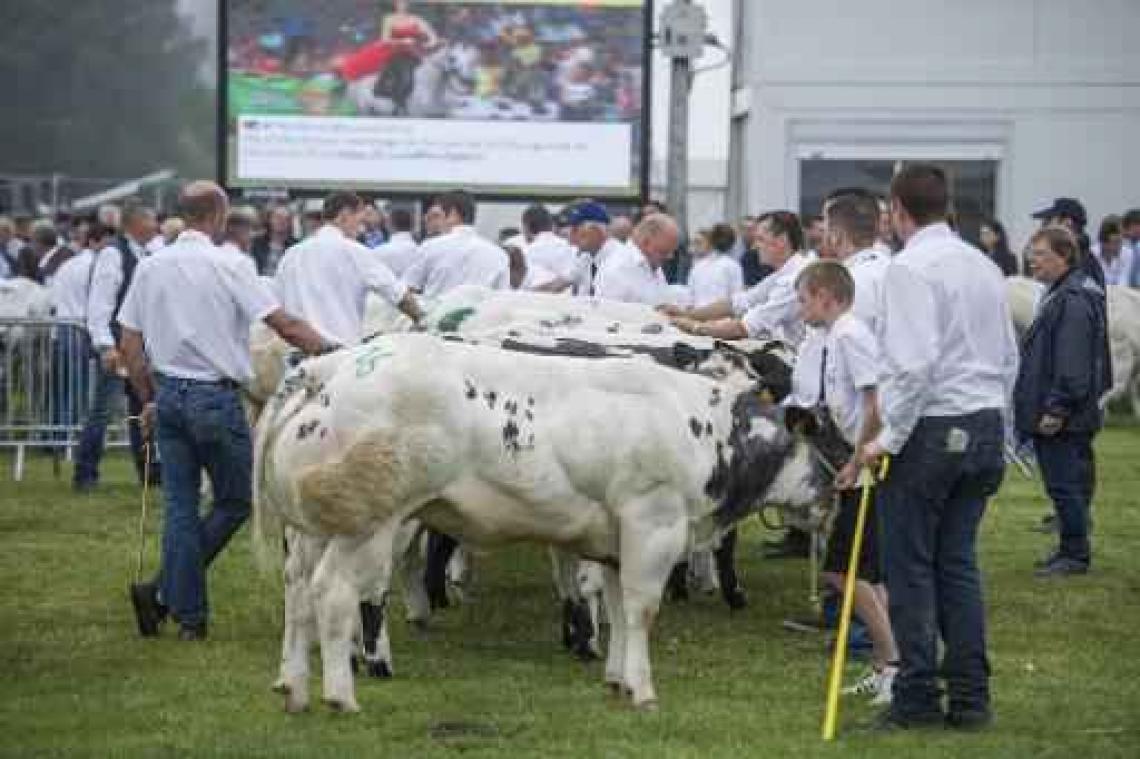 Waalse boeren counteren "Dagen Zonder Vlees" met "Je suis agriculteur"