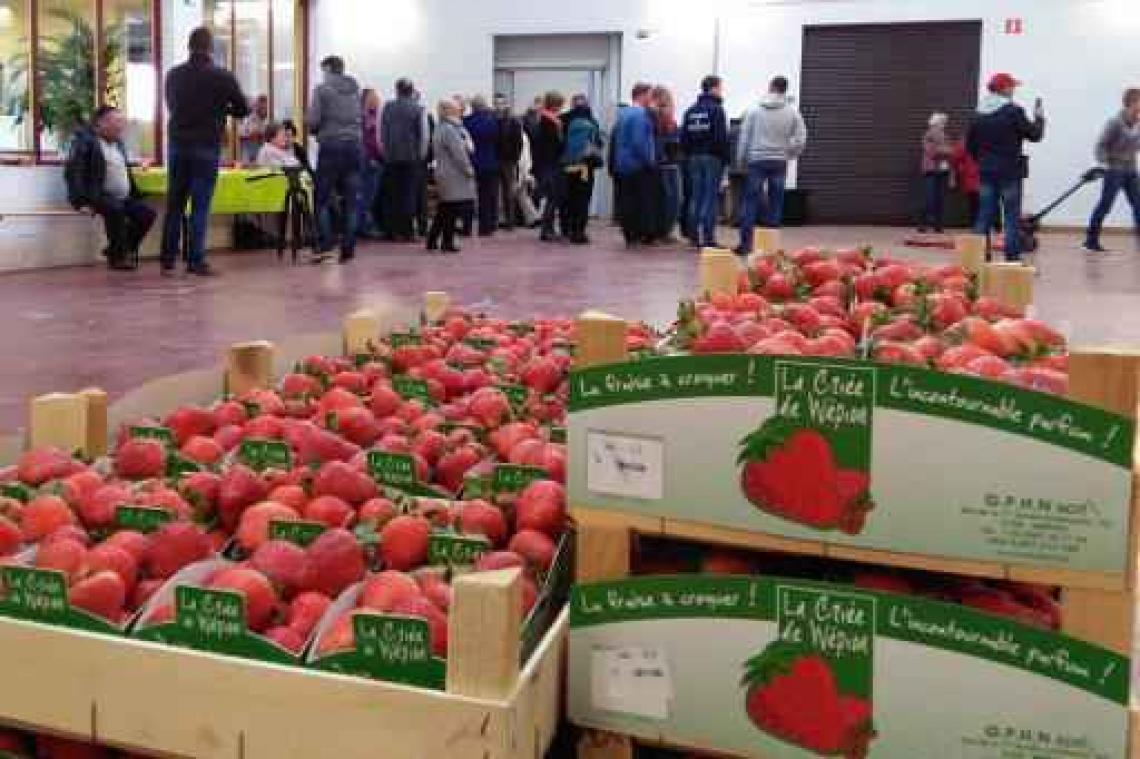 Landbouwers lijden 10 procent afzetverlies door eisen aan groenten en fruit