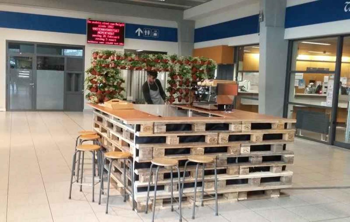 Australiër opent koffiebar in Antwerpen-Berchem