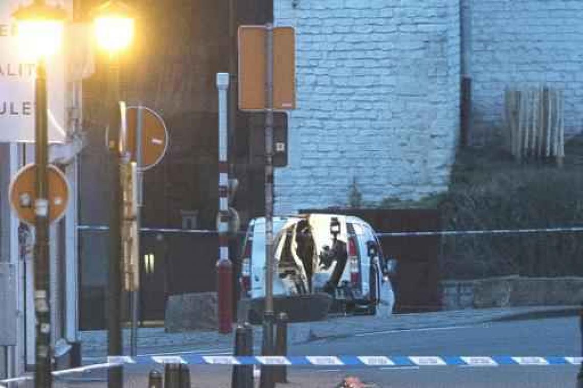 "Geen explosieven aangetroffen" in verdacht voertuig Hallepoort