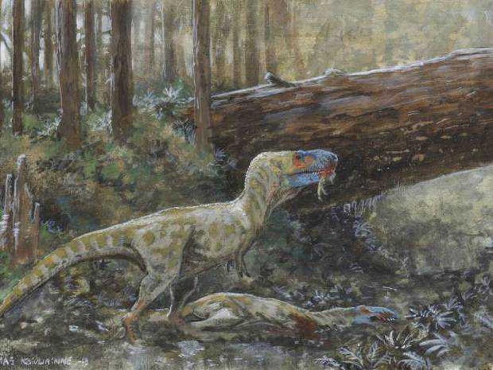 Voorouder van Tyrannosaurus Rex was een gigantische kannibaal