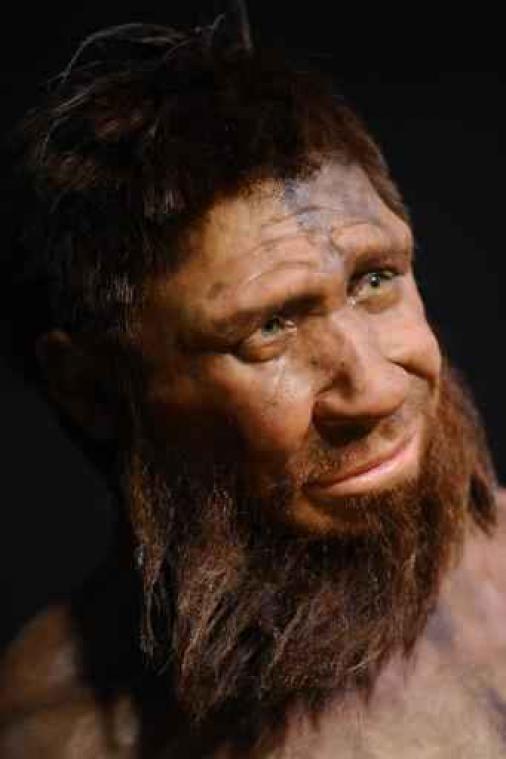 Neanderthalers gebruikten al plantaardige aspirine en penicilline