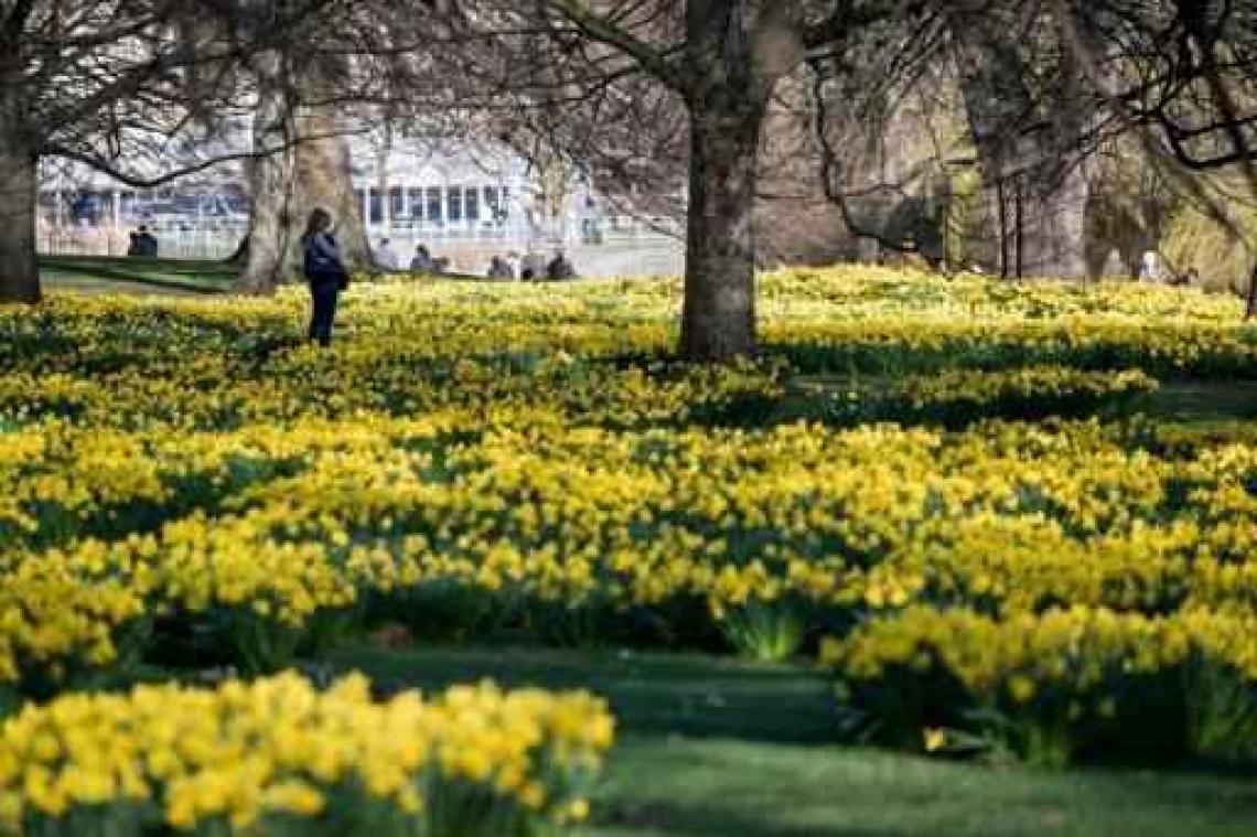Lente breekt volgende week echt door