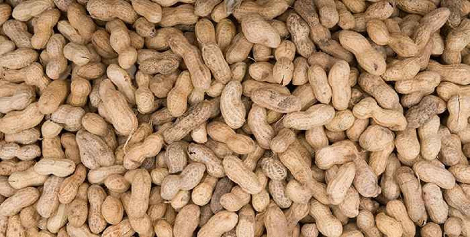 Succesvolle behandeling voor pinda-allergie bij kinderen