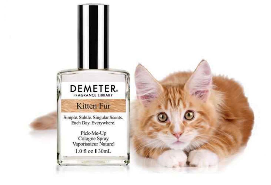 New Yorks bedrijf creëert bijzonder kattenparfum
