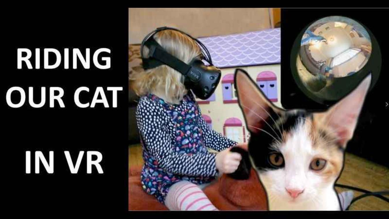 Technologische snufjes maken 'ritje' op kat mogelijk voor kleuter
