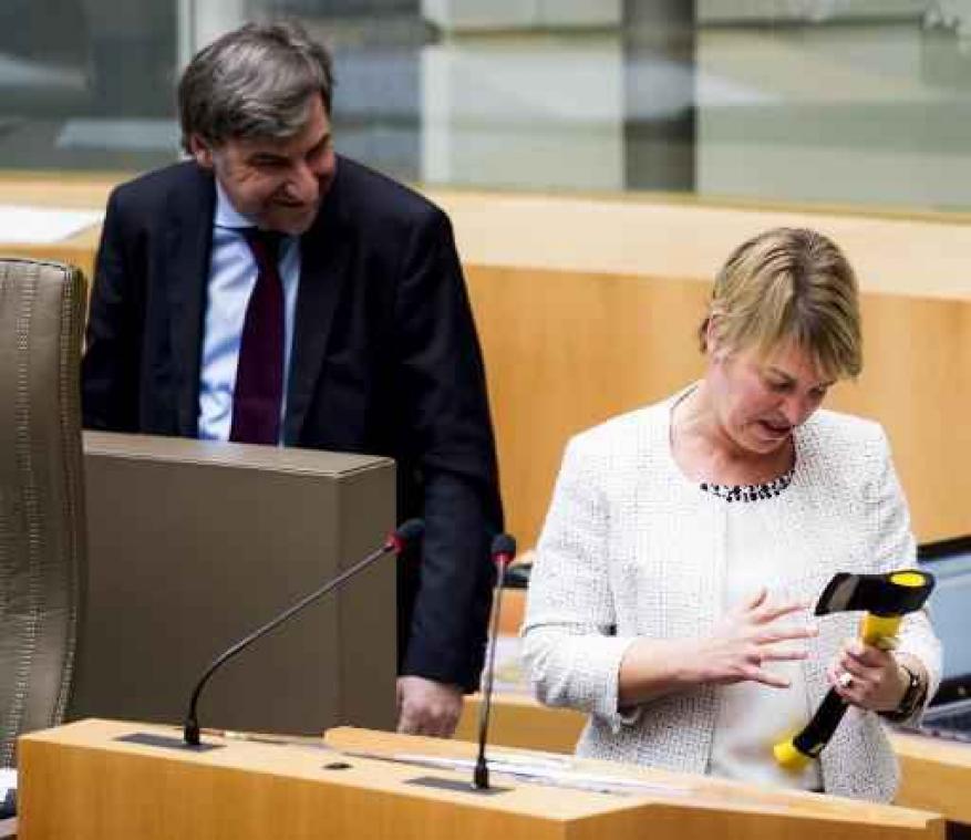 Minister Schauvliege krijgt bijl "om knopen door te hakken" over kwetsbare bossen