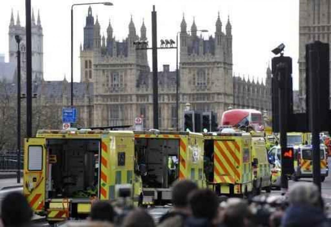 Zwaargewonde vrouw levend opgevist uit de Thames