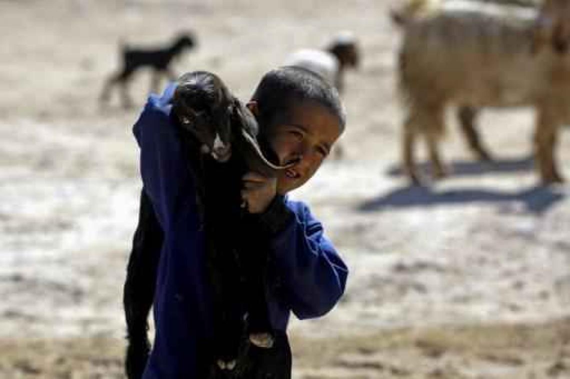 Vredesgesprekken over Syrië opnieuw van start in Genève