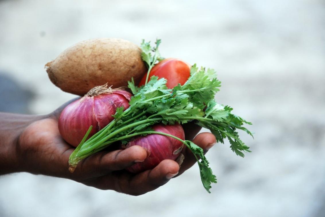 Het is lente in je moestuin
