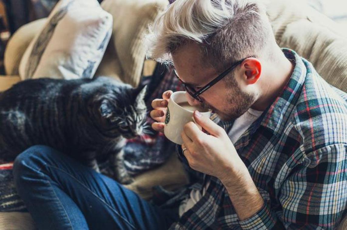 Katten zijn wel degelijk verknocht aan hun baasje